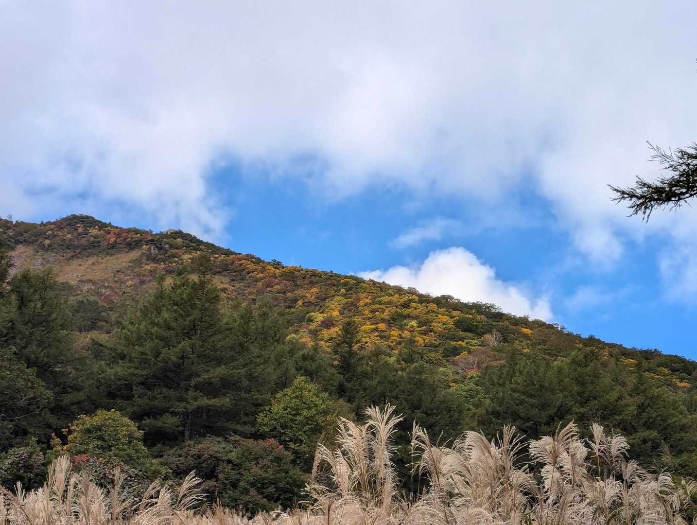 少し青空が出てきました☀
スキー場脇の登山道をテクテク歩きます