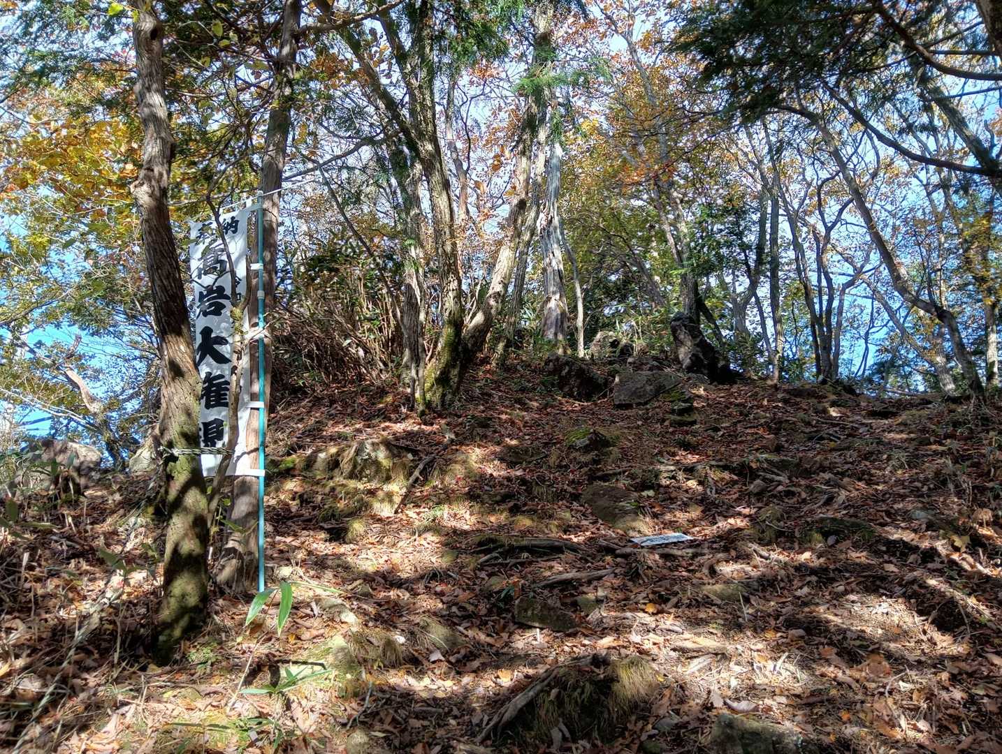 👈️に高岩大権現神社に