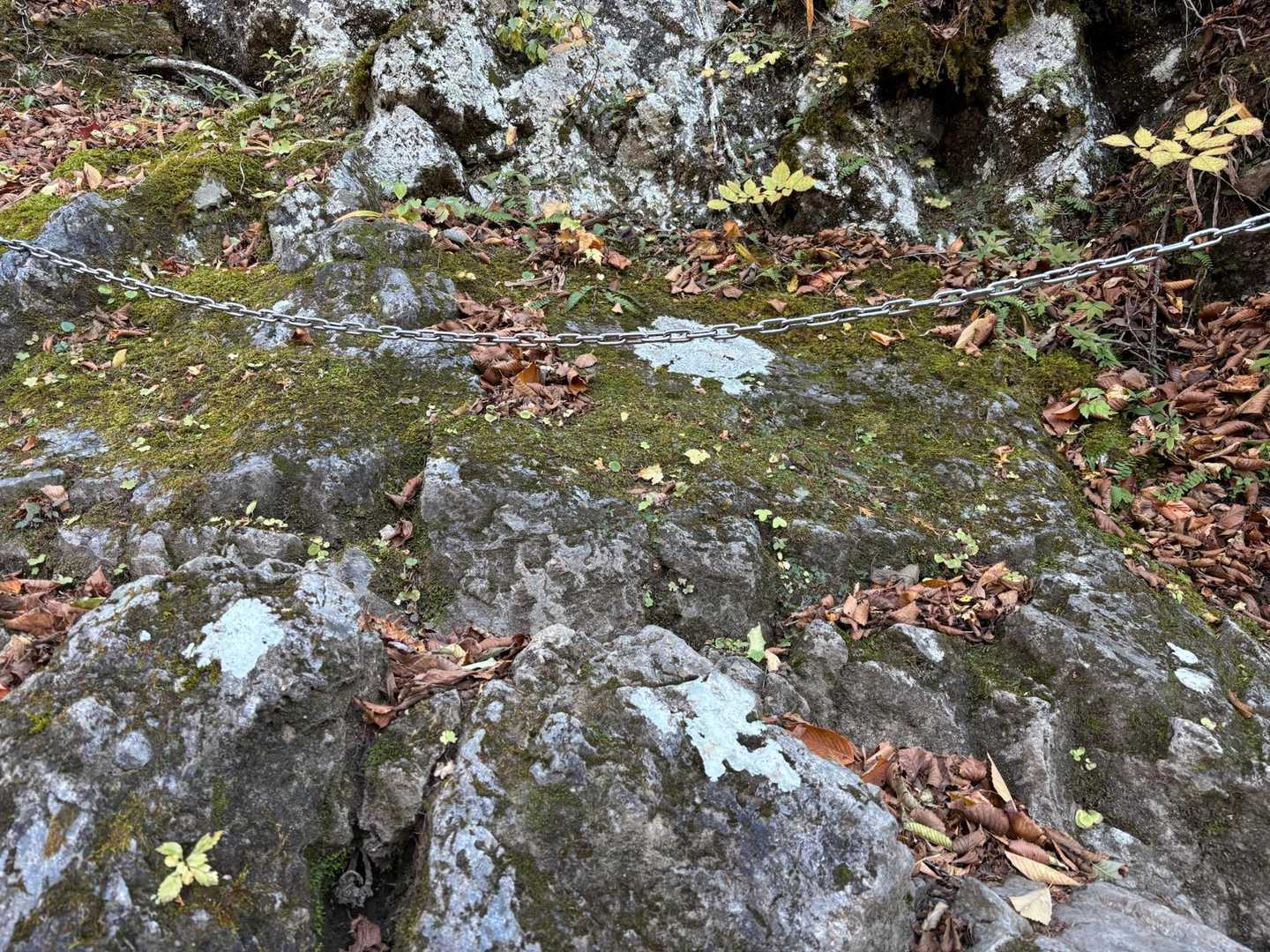 鎖場というより、お助け鎖でしたわ