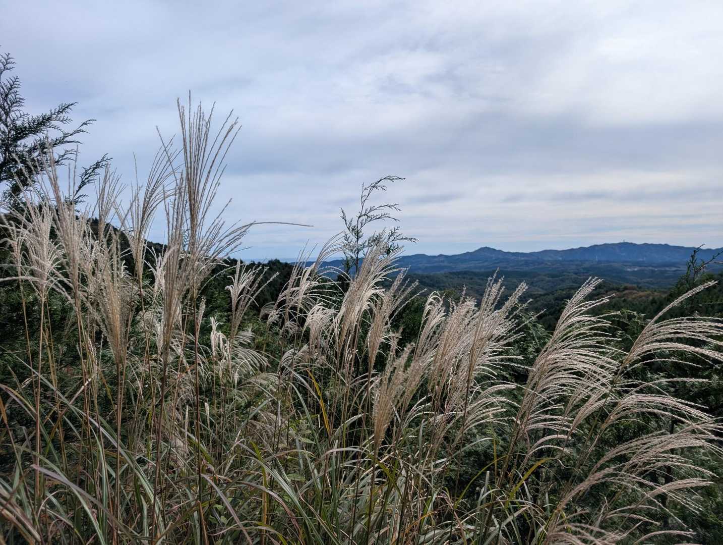 低山も秋ですね😊