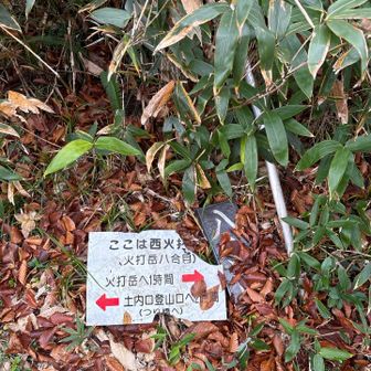 西火打岳。眺望なし
