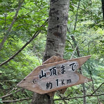 あと、一踏ん張り！