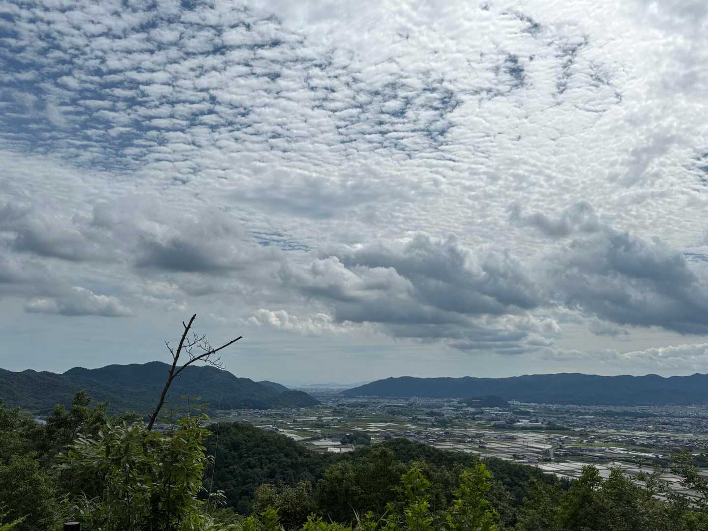 春日山-春日山城跡登山口 往復コースの写真
