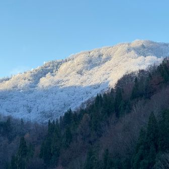 きゃー！！ウヒョー！
むひょー！✨✨霧氷