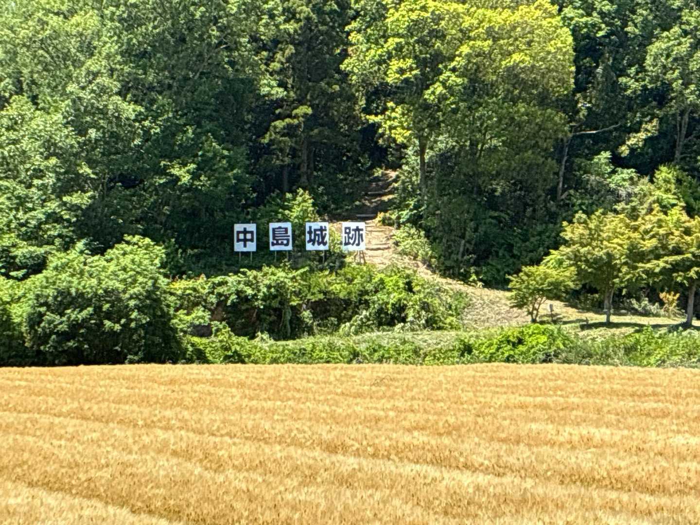 道路から。