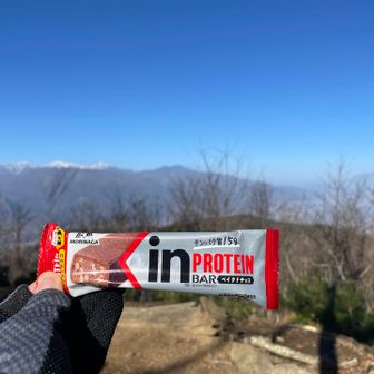 まっすーくんからいただきました！🐜✖️10匹