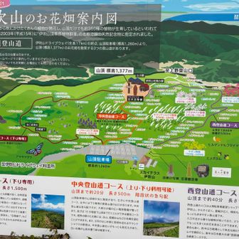 東登山道コースへぐるっと周回する予定だったけど中央登山道コースを降りてきました
だってなんにも見えないもん😆