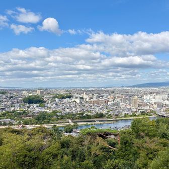 展望台からの眺望