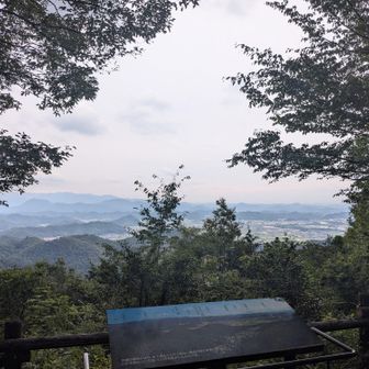 再度、白山展望地
さっきより白んで観えると思っててら、雨が降り出した
百々ヶ峰2本目は止めて駐車場へ急ぎます
ザックカバーだけして急ぎます