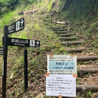 葛城山には入れない模様。葛城山🟰パロラマパークとこの時知った