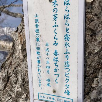 🎶

木の芽ふくらみ
春は近づく☘️🌸
