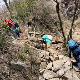 わっせ！わっせ！！