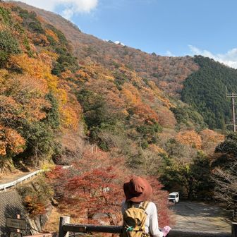 駐車場まで無事に戻ってきました♪
