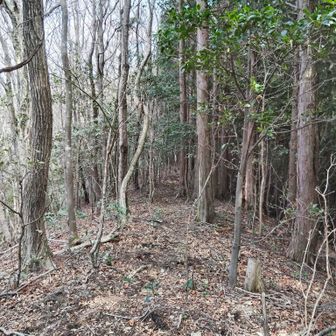 まだ先に道が続いているが行きません😑