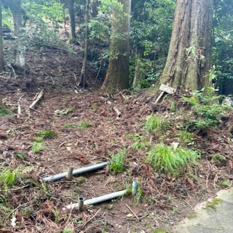 振り返ると、登山口を発見✨