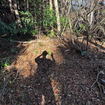写真には載せない約束で
途中の祠で年に一回お掃除してる
ボランティアさんとしばし談笑
普段は石の扉で
塞がれてますが‥
今日は開けてますので
ぜひぜひお顔見てって❣️と
ステキお顔でした🙏
普段人に会わないのに‥
何かのご縁ですね〜と
それから、山頂と思われる
この辺で記念撮影