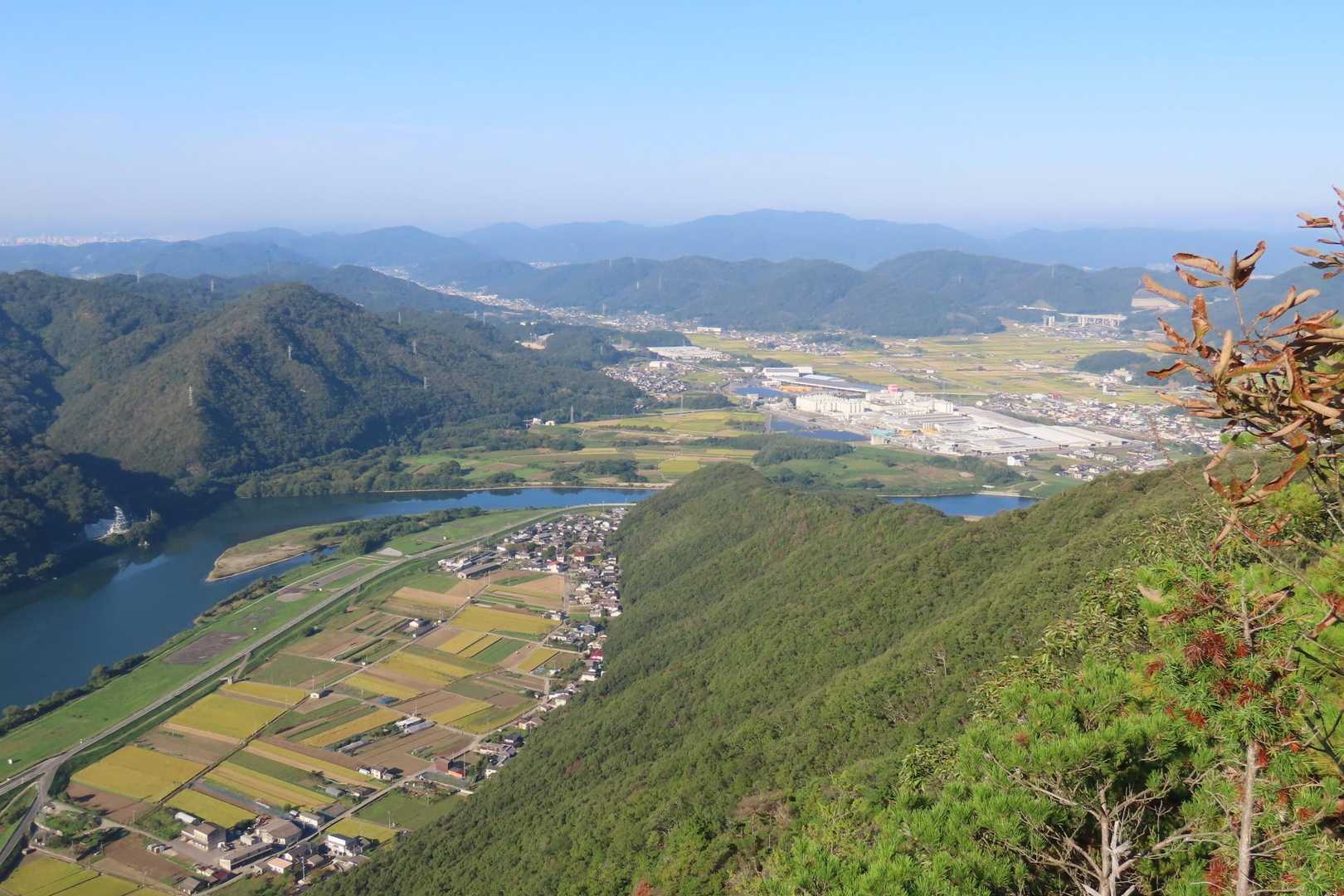 黄金色の田んぼが綺麗。