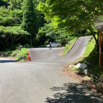 到着
うちの車一台
今回の登山ですれ違った方はお一人でした