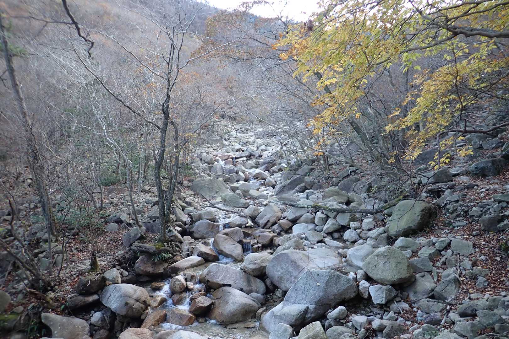 ゴロゴロの沢沿いを行きます