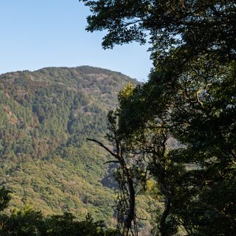 脊振山と反対の油山山頂はくっきり見えます