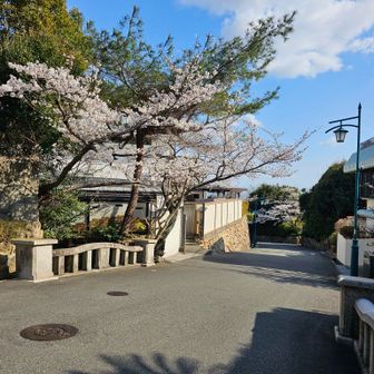 三品主税[ちから]