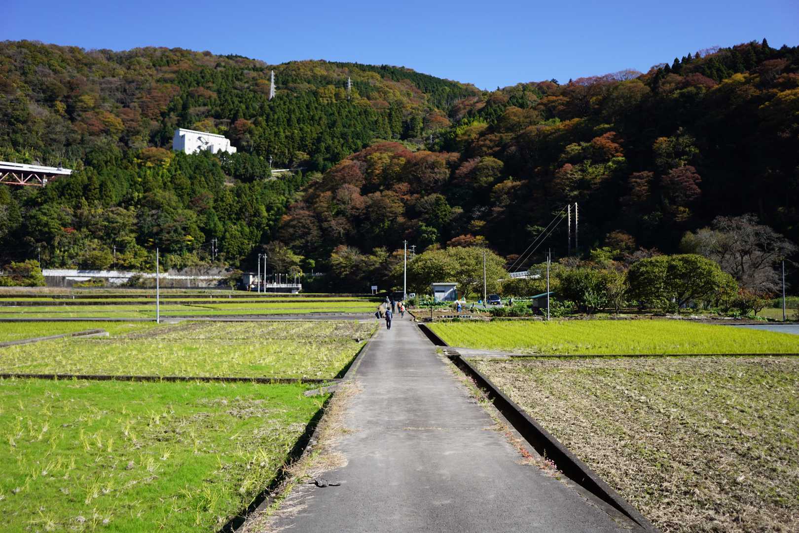 里山を歩くような感じです。