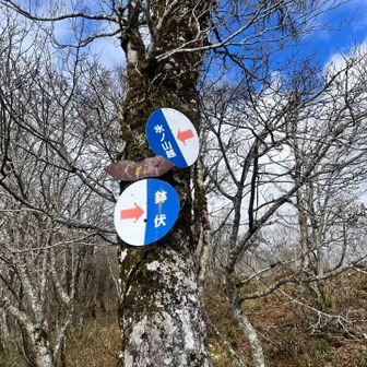 大平頭に到着✨