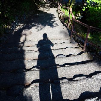 人人