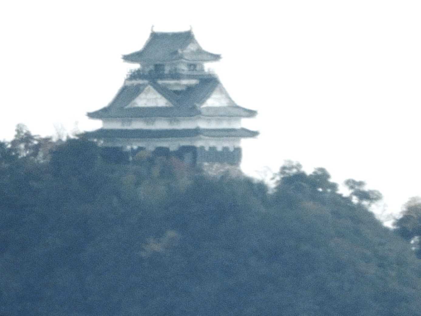 さらにズーム🔍
あっ❗いつもあのすき間からこっちを見てるわ😃
金華山からこの山もみえるんだ😃