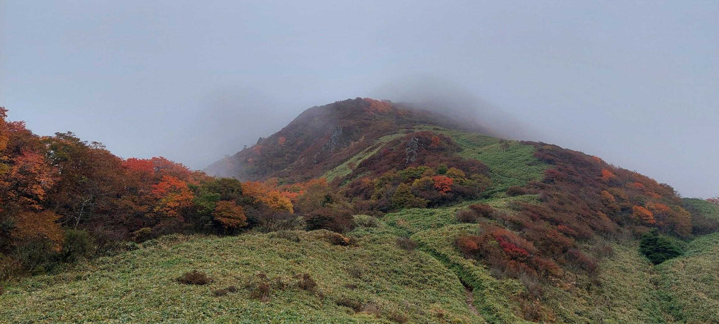 旧寒風山トンネル南口-桑瀬峠-伊予富士-東黒森 往復コースの写真
