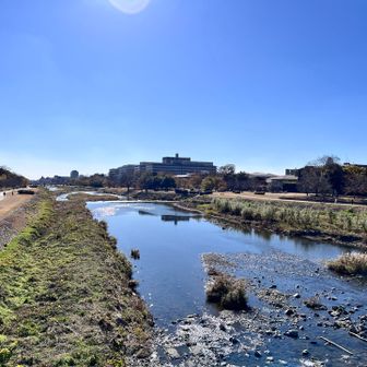 やっぱり人が少ない〜