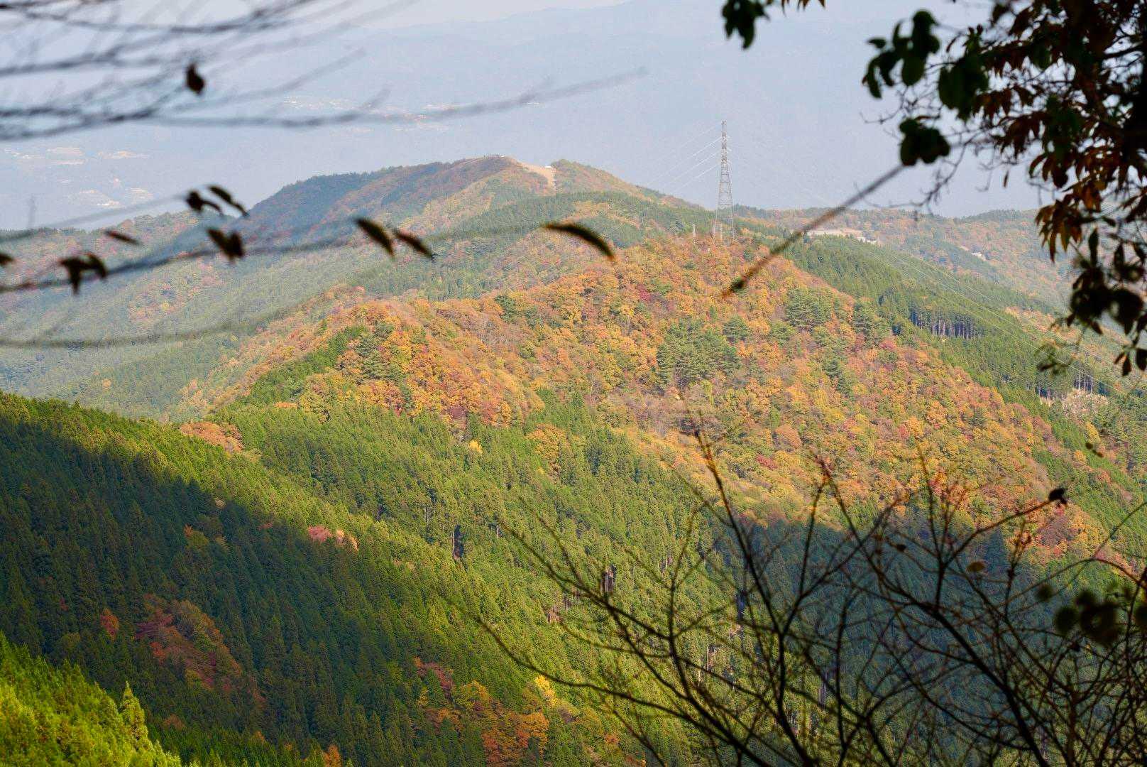 
　　水の丸方面も🍁
