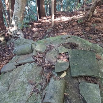 瓦があります。石垣もあったし、つまりヒトの気配。昔はどんな様子だったのでしょうか。