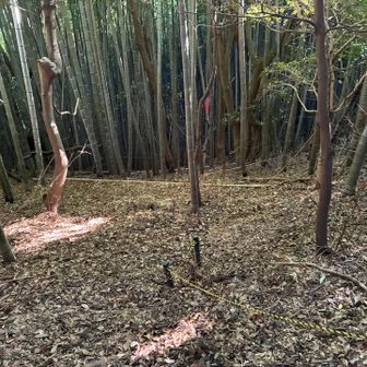 ロープも張ってあり安心ですね✨
