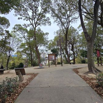 急登を登りきれば茶臼山山頂
ぜーぜー