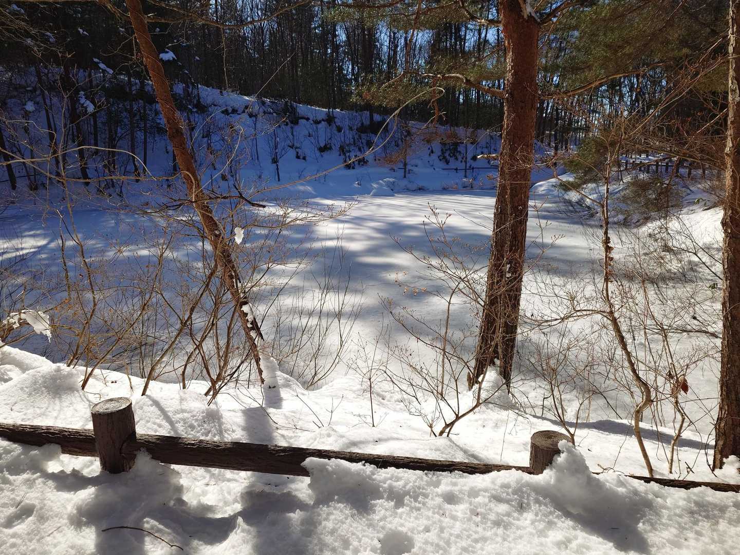 ため池は凍ってました