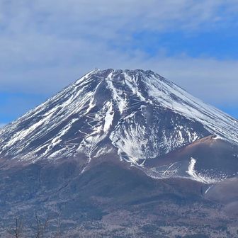 木々の合間に富士山　