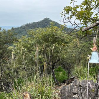 天狗山が見えます