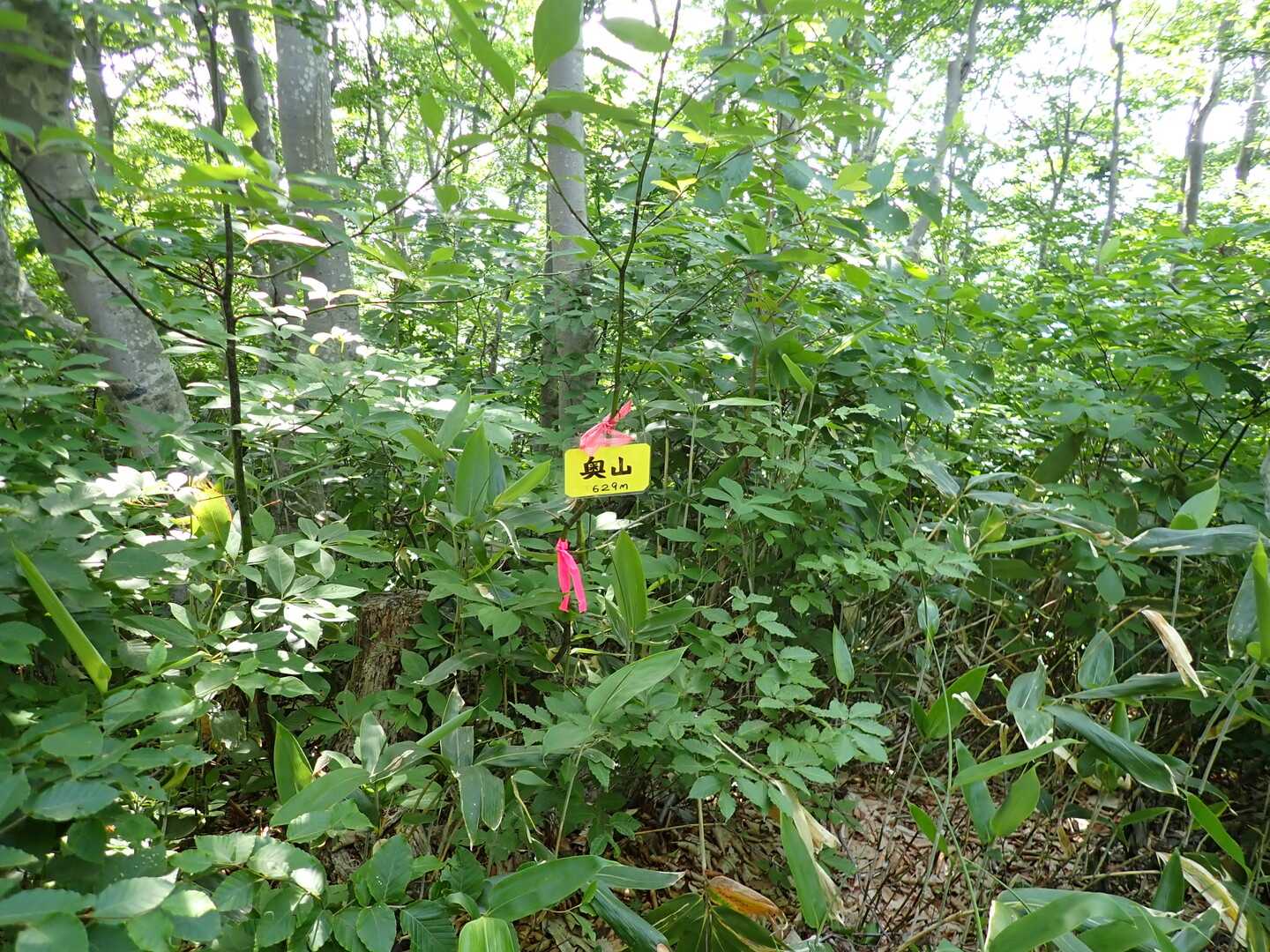 奥山（虚空蔵峰）の写真