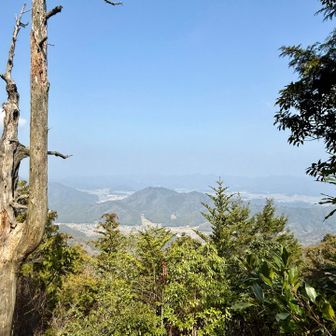 急登を登りきったら眺望あり☺️