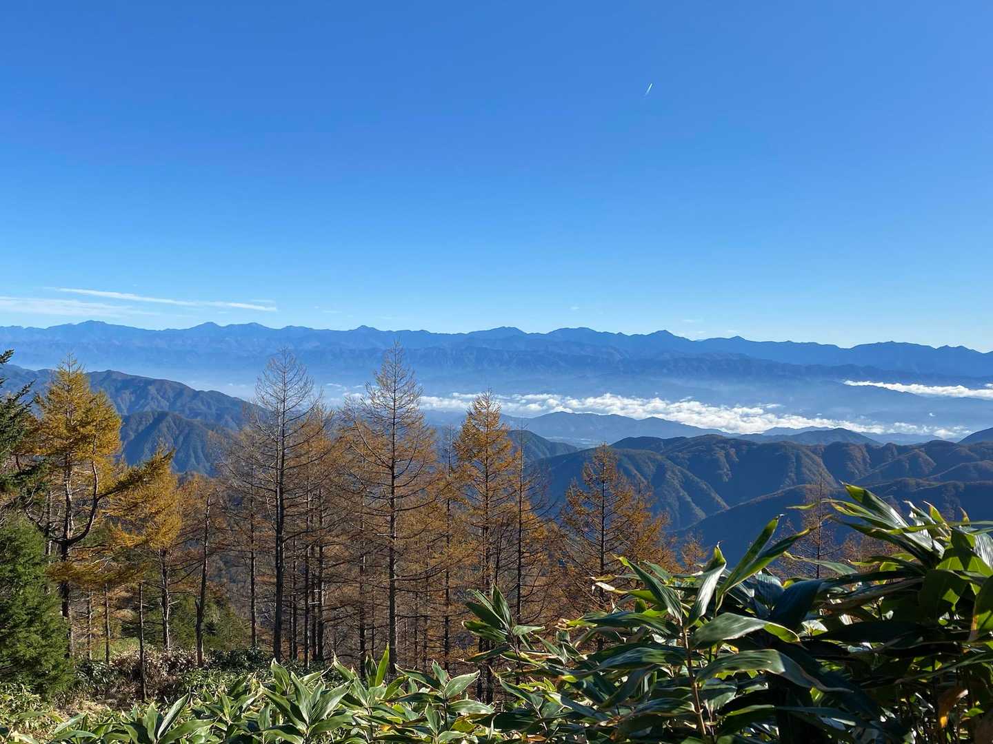 南アルプス一望。富士山の角も