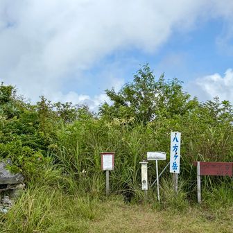 青空も広がってきたところで🦀蟹足岳へ向かいます♪
