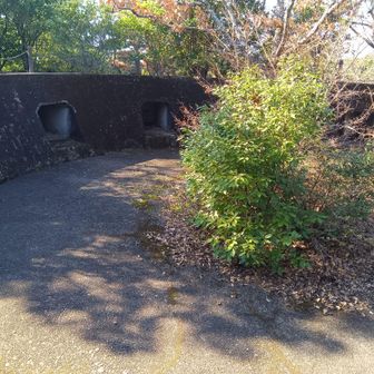 田島岳高射砲台砲座跡
弓張岳、海軍では田島岳と呼ばれていた

追記⋯但馬岳の方も「たじま」と読む　昔は実は同じ山？（推測）　いろいろ謎だ