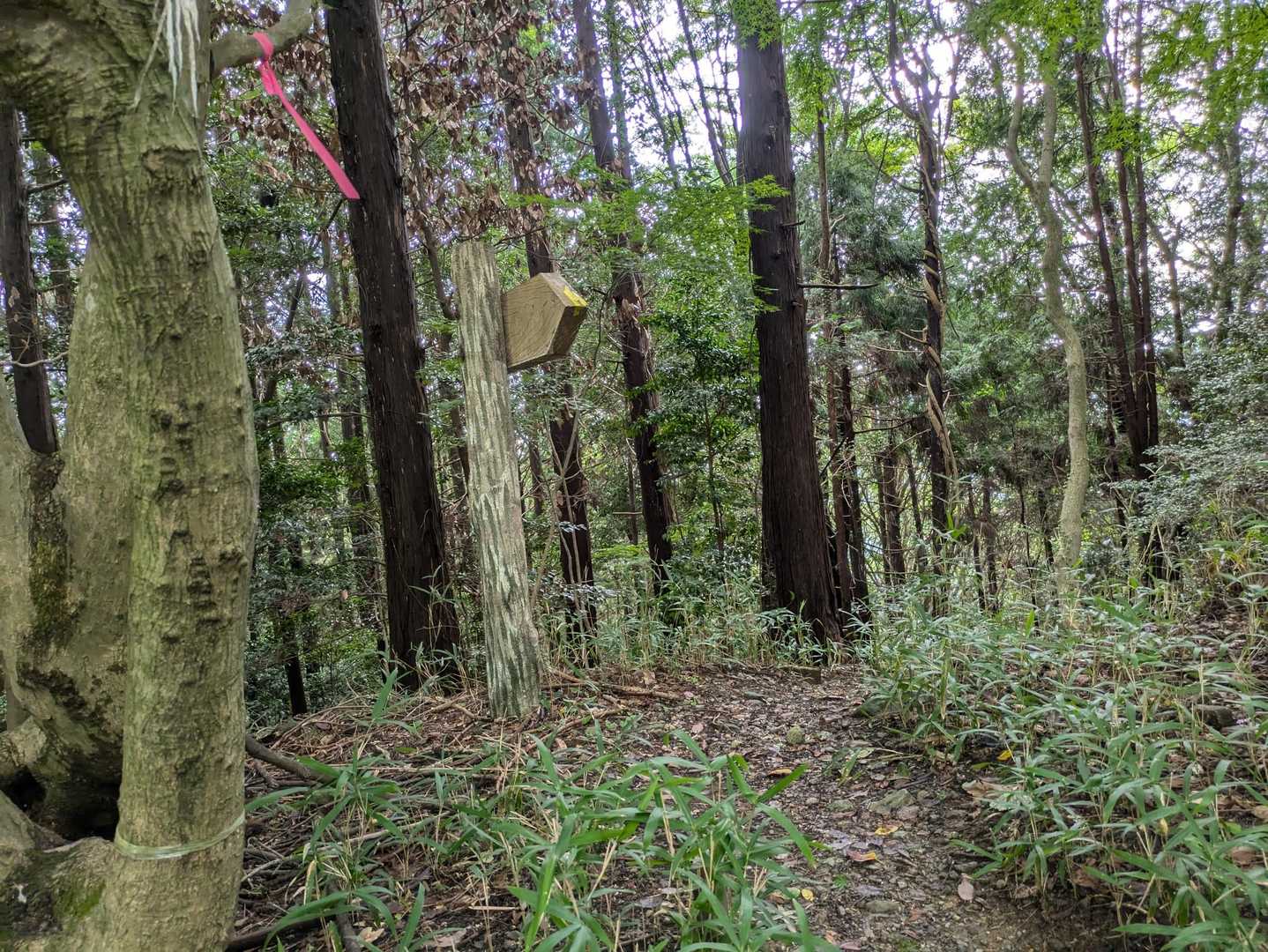 長谷寺道分岐