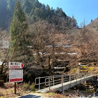 行ける所まで行ってみます