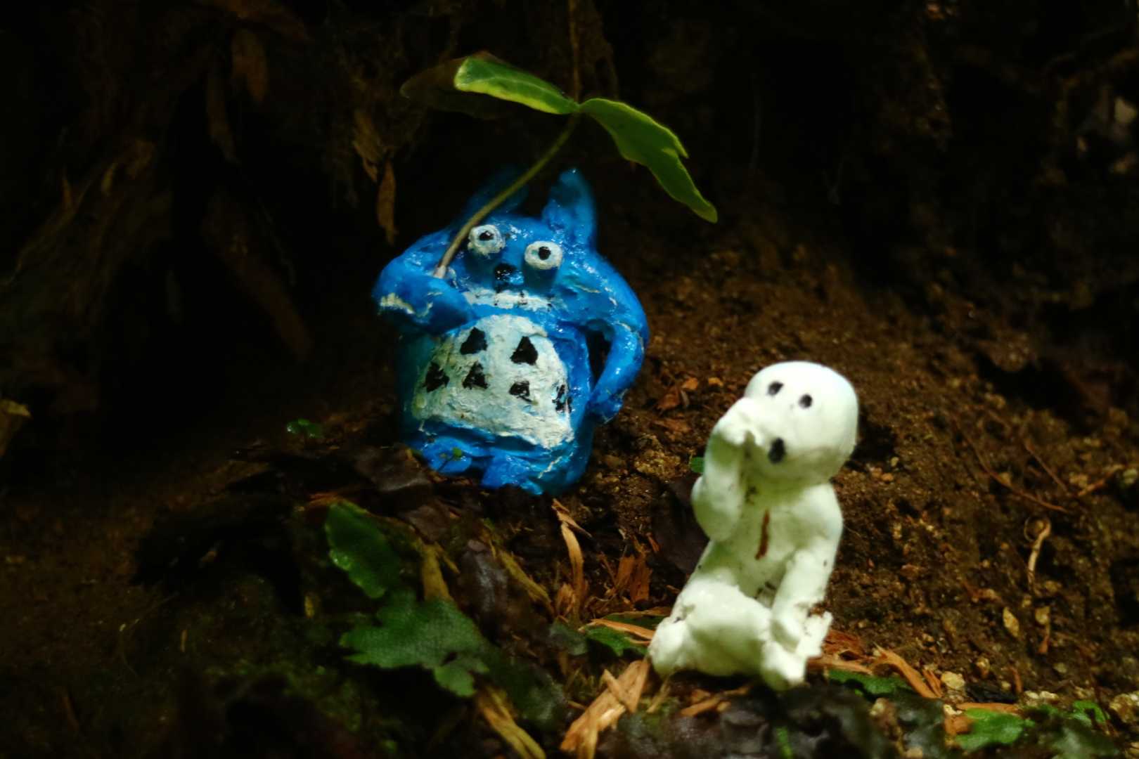 千早本道登山口-金剛山-金剛山山頂売店-転法輪寺-金剛山葛 縦走コースの写真