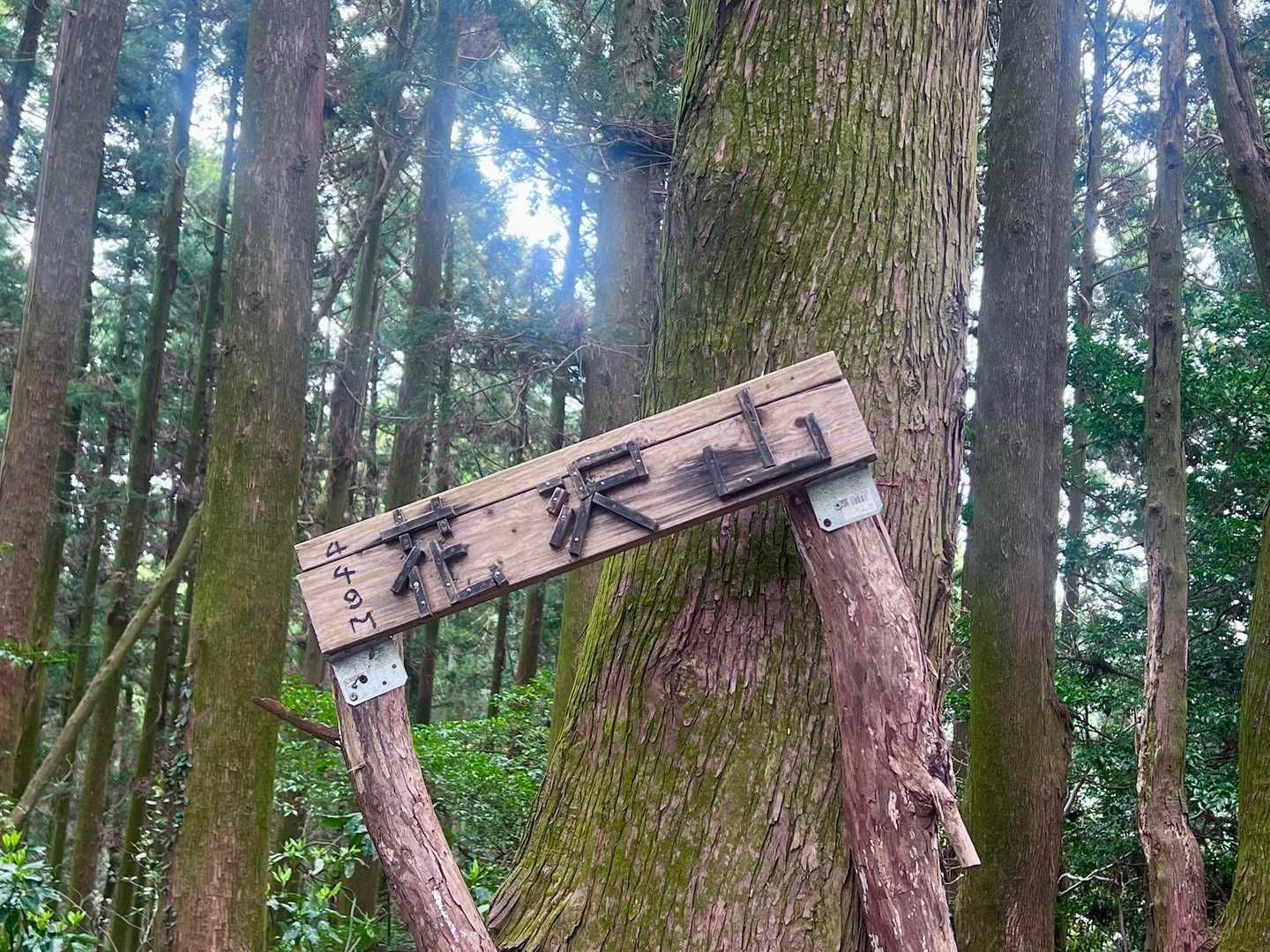 花沢山山頂