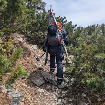 大沢ルートを下降するスキーヤー(2,575m)
※下山時に大沢小屋から下降を確認済み。