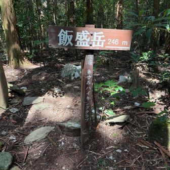 突然現れる山頂表示。
ここでUターン