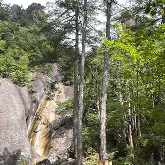 　　　　　不動滝

右側の岩峰が 1本目の尾根 で

2本目の尾根を登りたい